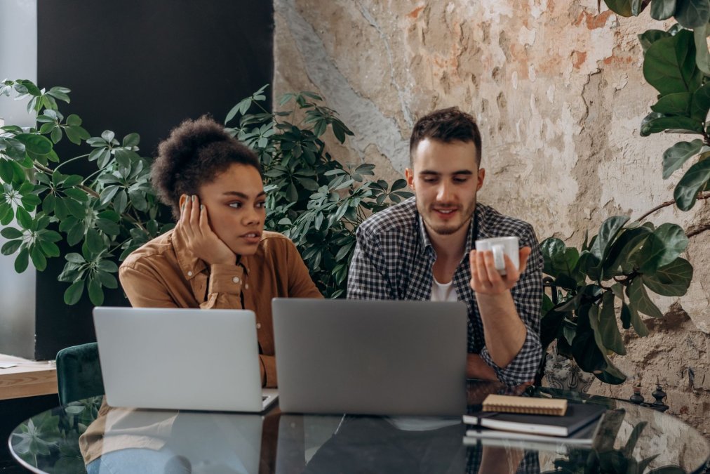 two-colleagues-collaborate-in-a-plant-filled-cozy-workspace-stock-1790883046